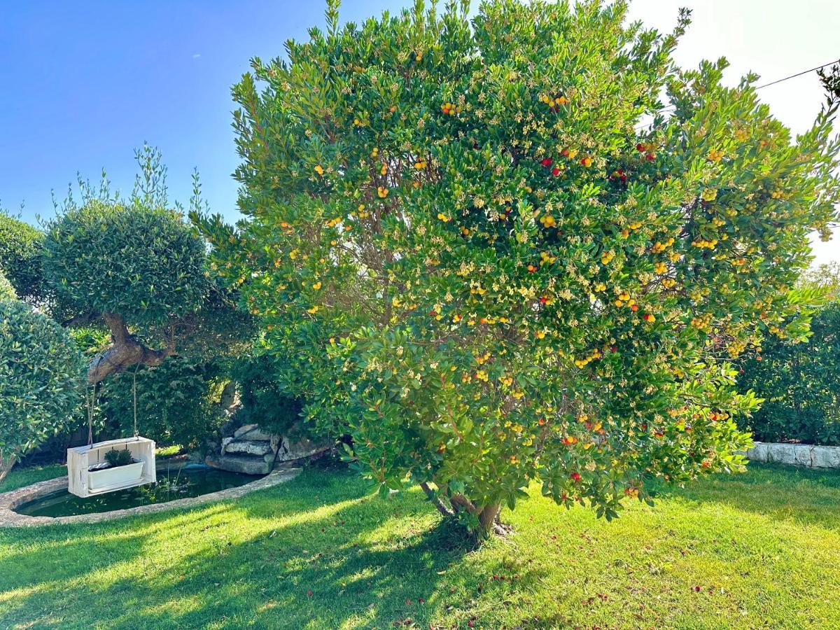 Trullo Il Carrubo Villa Alberobello Luaran gambar